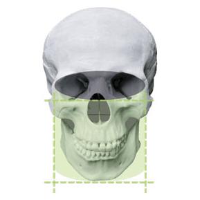 Полный зубной ряд 16x11/12x9